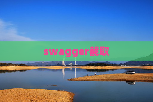 swagger截取